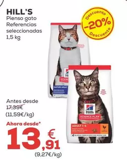 Hill's - Pienso Gato