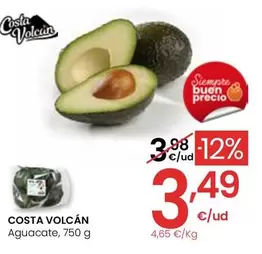 Costa Volcán - Aguacate
