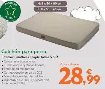 Leeby - Colchon Para Perro