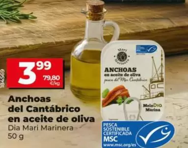 Dia Mari Marinera - Anchoas Del Cantabrico En Aceite De Oliva 