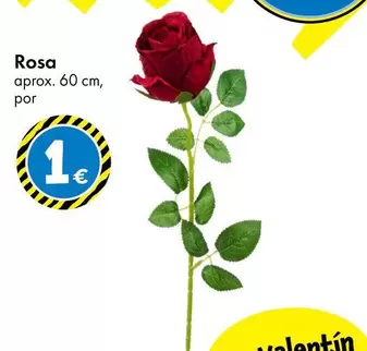Rosa