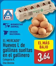 aldi - Huevos L de Gallinas Sueltas en El Gallinero