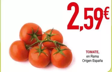 Rama - Tomate