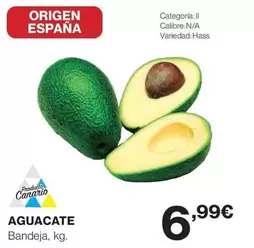 origen - Aguacate