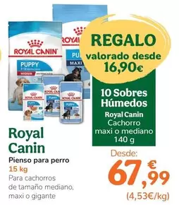 Royal Canin - Pienso Para Perro