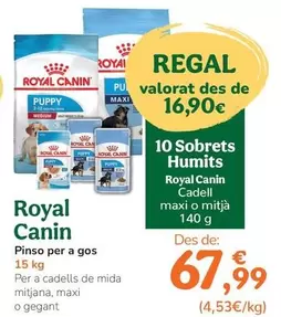 Royal Canin - Pienso Para Perro
