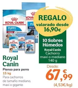 Royal Canin - Pienso Para Perro
