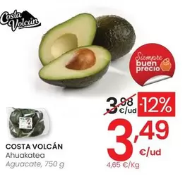 Costa Volcán - Aguacate