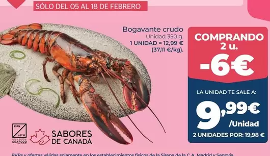 Nova - Bogavante Crudo