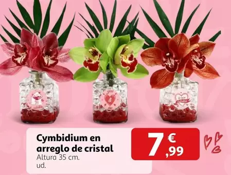 Cristal - Cymbidium En Arreglo De
