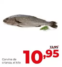 Alimerka - Corvina De Crianza