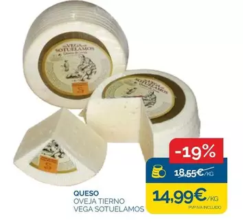 Vega Sotuelamos - Queso
