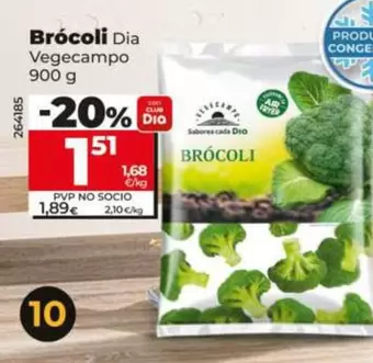 Dia Vegecampo - Brócoli
