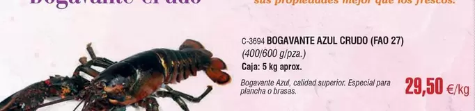 Bogavante Azul Crudo (FAO 27)