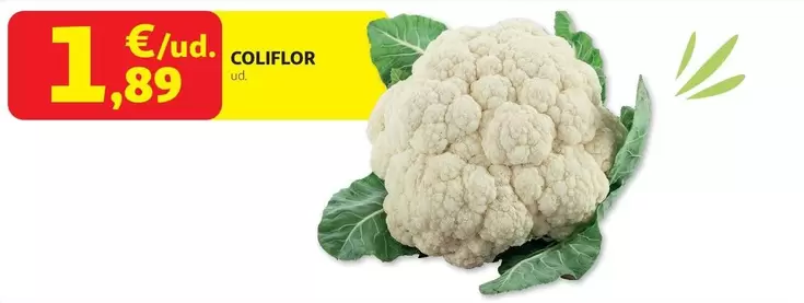 Coliflor