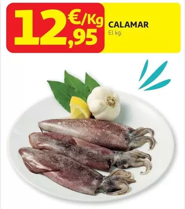 Calamar
