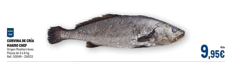 makro - Corvina De Chia