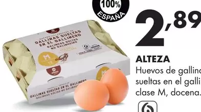 Alteza - Huevos De Gallinas Sueltas En El Gallinero, Clase M, Docena