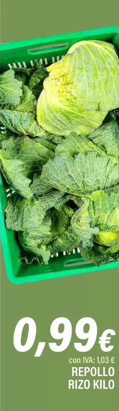 Repollo Rizo