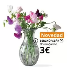 Florero/jarrón