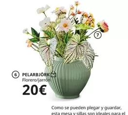 Pelarbjörn