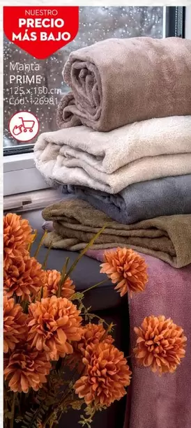 Prime - Nuestrone Pescado