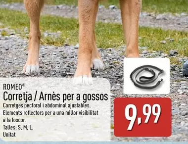 Romeo - Corretja/Arnès Per A Gossos