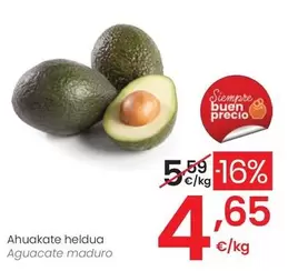 Aguacate Maduro