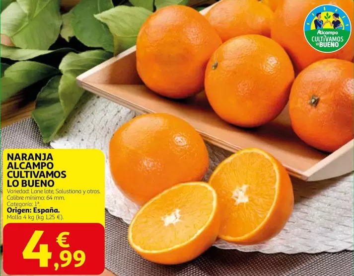 alcampo - Naranja Alcampo Cultivamos Lo Bueno