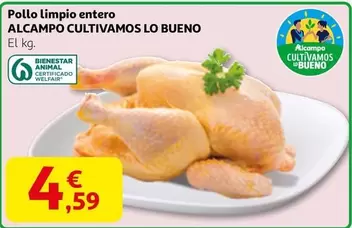 alcampo - Pollo Limpio Entero