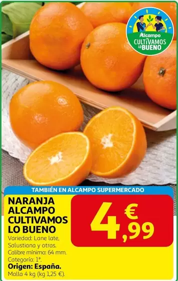 Alcampo - Naranja 