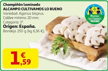 Alcampo - Champiñón Laminado