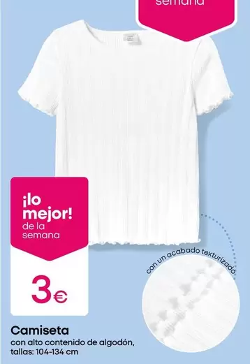 Camiseta
