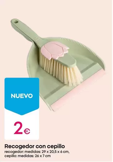 Recogedor Con Cepillo