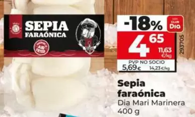 Dia Mari Marinera - Sepia Faraónica 