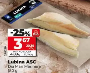 Dia Mari Marinera - Lubina ASC