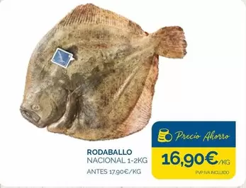 Rodaballo Nacional