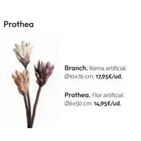 Prothea