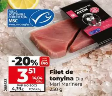 Dia Mari Marinera - Solomillo De Atún