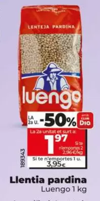 Luengo - Lenteja Pardina