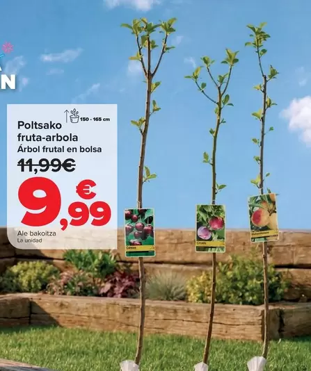 Arbol Frutal En Bolsa