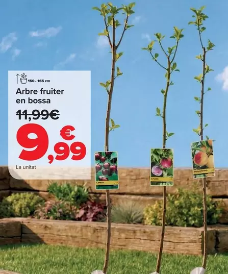 Arbol Frutal En Bolsa