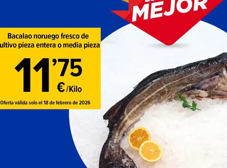 Solo - Bacalao Noruego Fresco De Ultivo Pieza Entera O Media Pieza