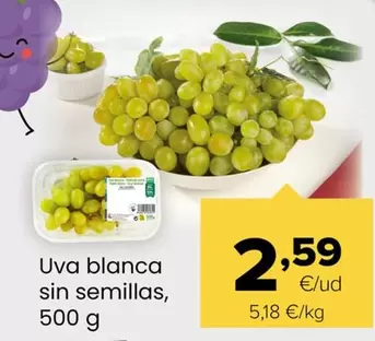 Uva Blanca Sin Semillas