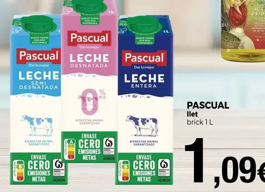 Pascual - Llet