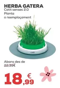 Catit - Hierba Gatera Senses 2.0 Planta