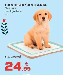 Nice Care - Bandeja Sanitaria