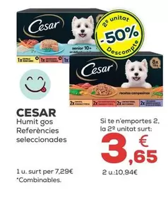 Cesar - Humedo Perro Referencias Seleccionadas