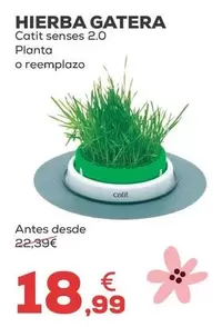 Catit - Hierba Gatera