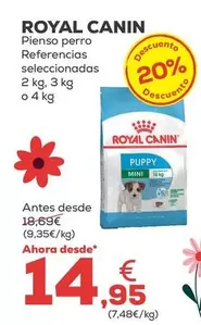 Royal Canin - Pienso Perro 